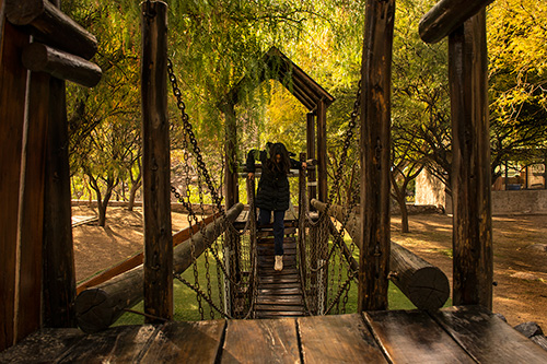 Cabañas Kiamte Cacheuta