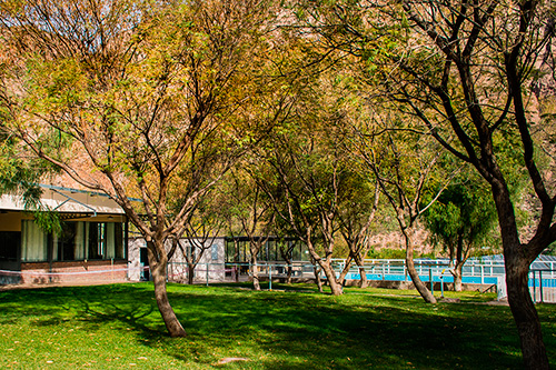 Cabañas Kiamte Cacheuta