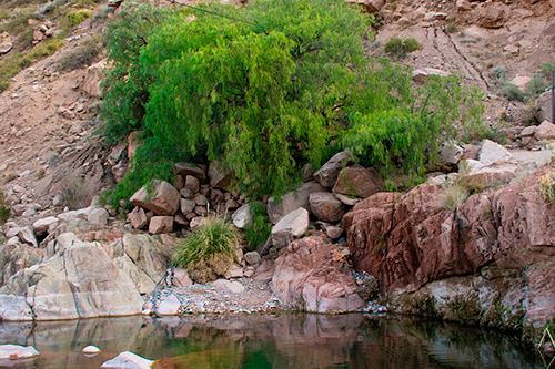 Cabañas Kiamte Cacheuta